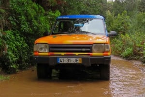 Madeira : Wine&Tapas, Cabo Girão skywalk 4x4 Jeep Adventure