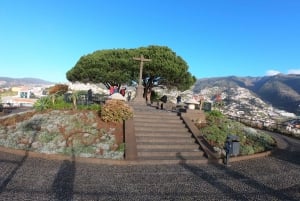 Madeira: Wine Tasting Experience Honey Museum and Cabo Girão