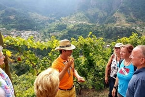 Madeira: Wine Tasting Experience Honey Museum and Cabo Girão