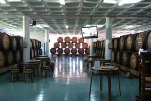 Madeira: Wine Tasting Experience Honey Museum and Cabo Girão