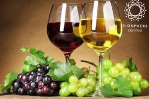 Madera: degustacja wina, Muzeum Miodu i Cabo Girão