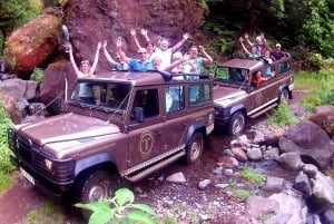 Madera: degustacja wina, Muzeum Miodu i Cabo Girão