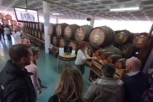 Madera: degustacja wina, Muzeum Miodu i Cabo Girão