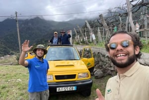 Madeira: Wine Tasting Guided Tour, Jeep Safari, & Viewpoints