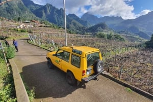 Madeira: Wine Tasting Guided Tour, Jeep Safari, & Viewpoints