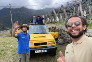 Madeira: tour guidato con degustazione di vini, safari in jeep e punti panoramici