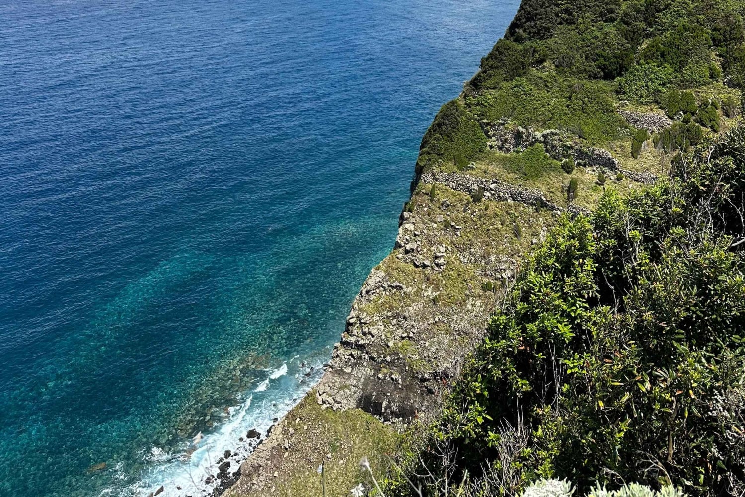 Madeiral de Jeep: (Skywalk, Seixal, Porto Moniz, Fanal)