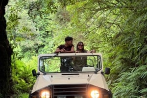 Madeiral de Jeep: (Skywalk, Seixal, Porto Moniz, Fanal)