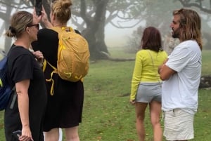 Madeiral de Jeep: (Skywalk, Seixal, Porto Moniz, Fanal)