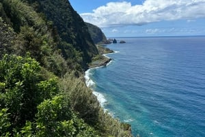 Madeiral: One day tour to Cabo Girão - Fanal - Porto Moniz