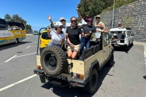 Madeiral: One day tour to Cabo Girão - Fanal - Porto Moniz