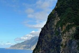 Madeiral: One day tour to Cabo Girão - Fanal - Porto Moniz