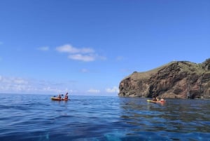 Madeiras Marine Reserve: Kayak & Snorkelling Trip