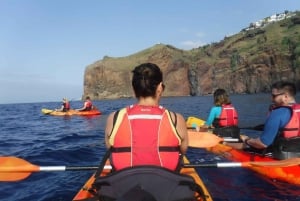 Madeiras Marine Reserve: Kayak & Snorkelling Trip