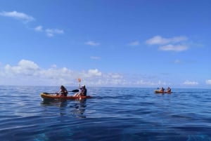 Madeiras Marine Reserve: Kayak & Snorkelling Trip