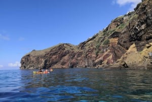 Madeiras Marine Reserve: Kayak & Snorkelling Trip