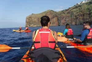 Riserva Marina di Madeiras: Gita in kayak e snorkeling