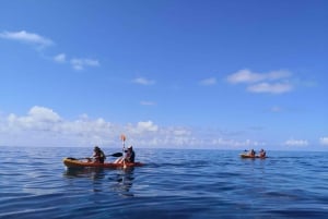 Riserva Marina di Madeiras: Gita in kayak e snorkeling