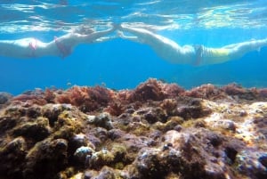 Riserva Marina di Madeiras: Gita in kayak e snorkeling
