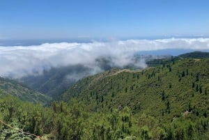 Madeira: Magical Sunrise Jeep Tour with Guide - Private Tour