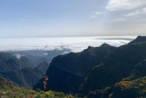 Madeira: Magical Sunrise Jeep Tour with Guide - Private Tour