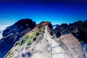 Madeira: Magical Sunrise Jeep Tour with Guide - Private Tour