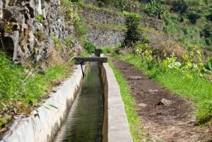 Maroços Madeira Island Levada Walk