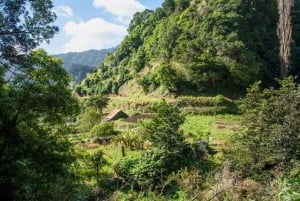 Maroços Madeira Island Levada Walk