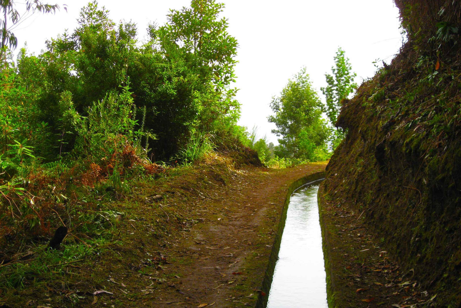 Maroços / Dolina Mimozy - spacer po Lewadzie