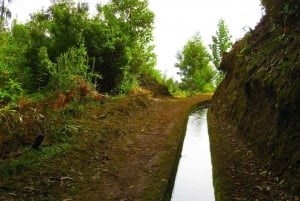 Maroços / Mimosa Valley - Levada Walk