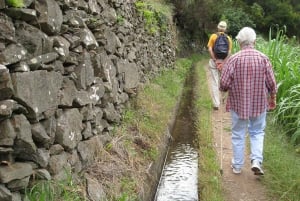 Maroços / Mimosa Valley - Levada Walk