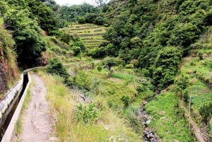 Maroços / Mimosa Valley - Levada Walk