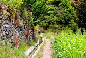 Maroços / Mimosa Valley - Levada Walk