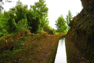 Maroços / Dolina Mimozy - spacer po Lewadzie