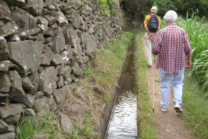 Maroços / Dolina Mimozy - spacer po Lewadzie