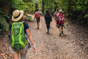 Mimosa Valley Trail: Erkunde Maroços