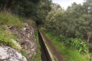 Mimosa Valley Trail: Erkunde Maroços
