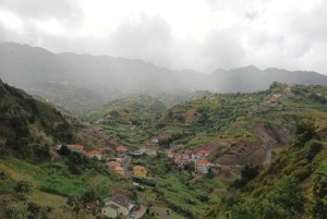 Mimosa Valley Trail: Erkunde Maroços
