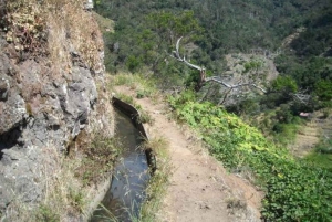 Mimosa Valley Trail: Erkunde Maroços