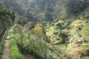 Mimosa Valley Trail: Erkunde Maroços