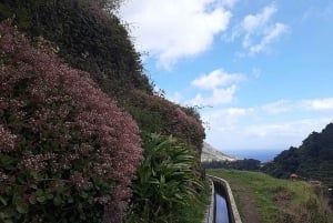 Mimosa Valley Trail: Erkunde Maroços