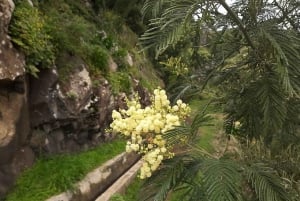 Trilha do Vale da Mimosa: Explore Maroços