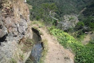 Trilha do Vale da Mimosa: Explore Maroços