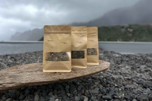 Mindful Tea Ceremony in Hidden Nature of Madeira