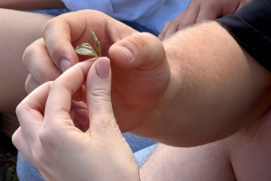 Mindful Tea Ceremony in Hidden Nature of Madeira