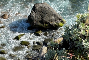 Mindful Tea Ceremony in Hidden Nature of Madeira