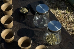 Mindful Tea Ceremony in Hidden Nature of Madeira