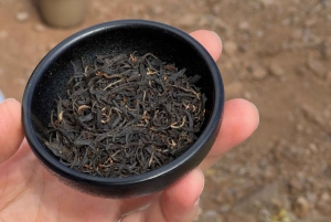 Mindful Tea Ceremony in Hidden Nature of Madeira