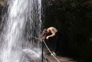 From Funchal: Wet your hair in the amazing Moinhos Levada