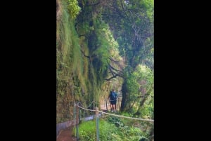 From Funchal: Wet your hair in the amazing Moinhos Levada